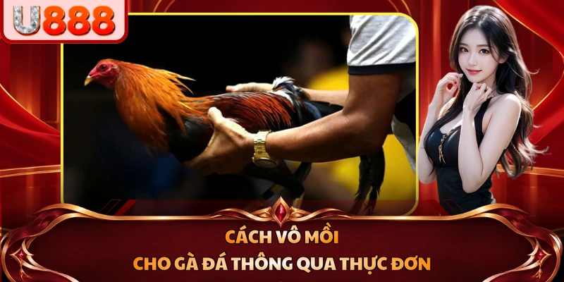 Cách vô mồi cho gà đá thông qua thực đơn